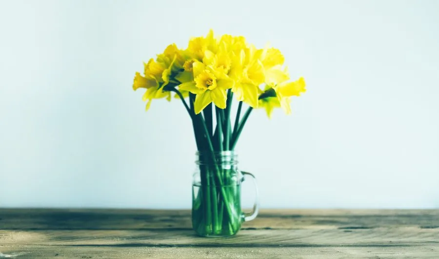 blogg_blommor